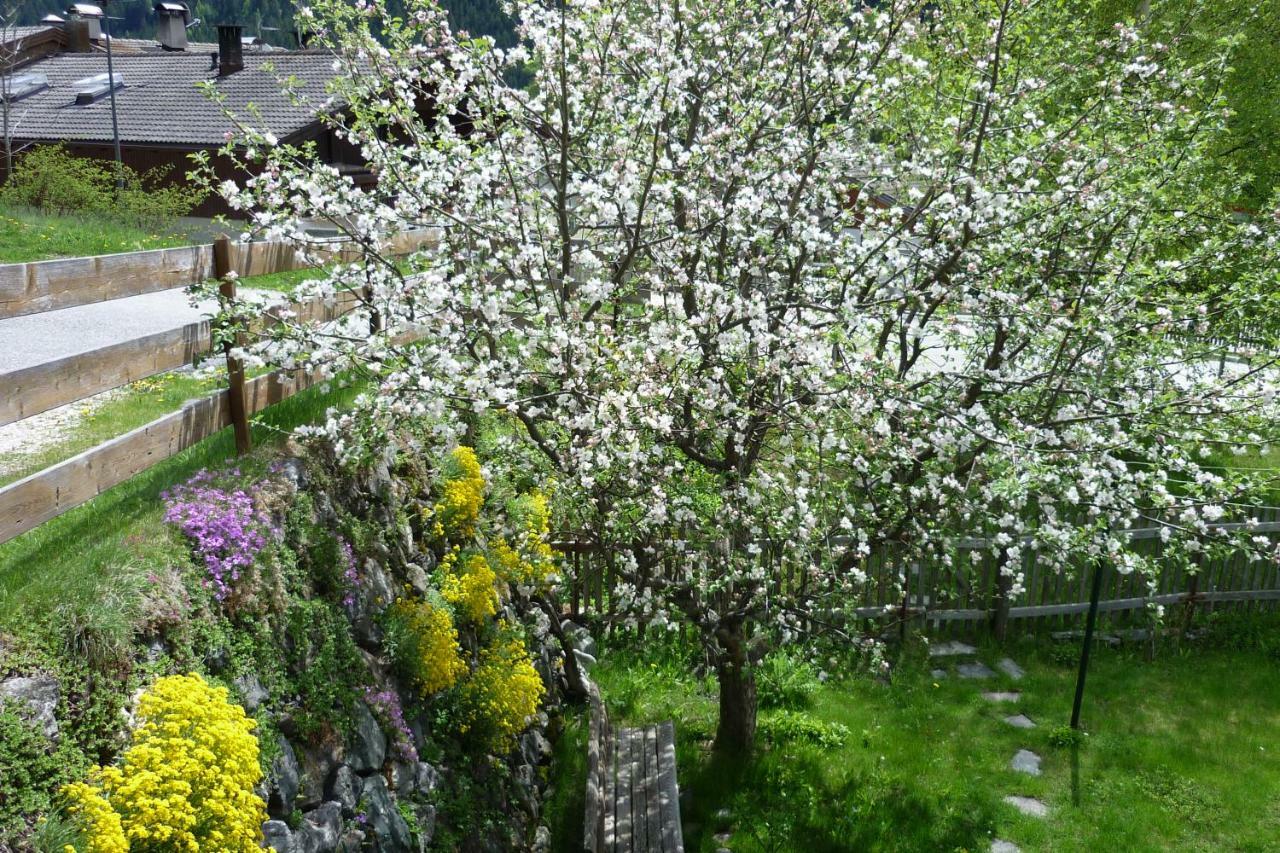 Ferienwohnung Gruberhof Innichen Exterior foto